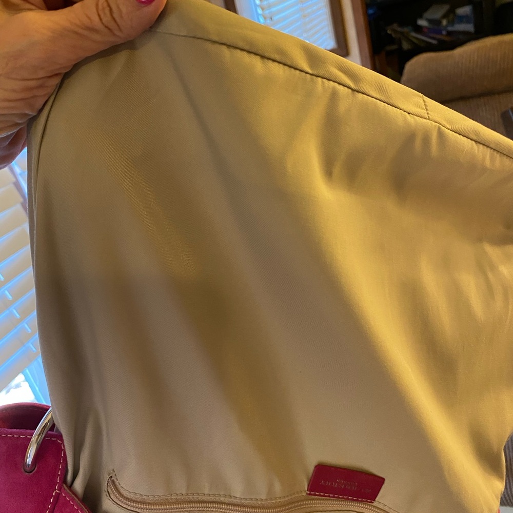Burberry Cream and Pink Suede Hobo - Picture 6 of 10